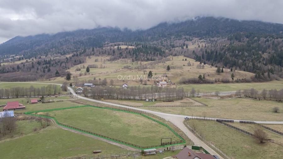 Teren Construcții intravilan de 6900 mp, în Plaiul Foii Teren Construcții intravilan de 6900 mp, în Plaiul Foii