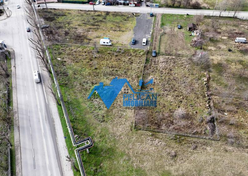 Teren intravilan - Str. Isaccei, 1000MP - 3
