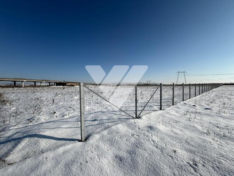 Teren agricol 4200 mp pretabil investitie imprejmuit ,Calea surii mici - 1