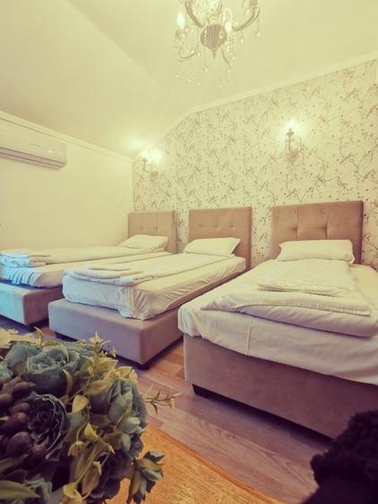 Hanul Potcoava Norocoasa – Business “la cheie“ Ortisoara !! - 21