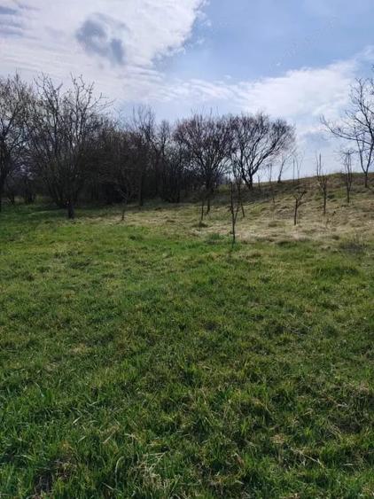 Se vinde casa cu anexe in Valea Calda - 4