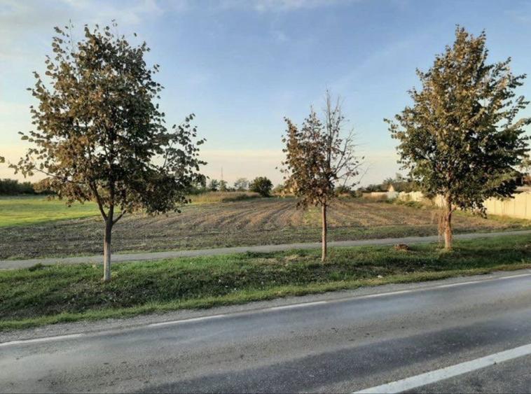 Teren intravilan judetul Calarasi, comuna Gradistea 4680 mp - 1