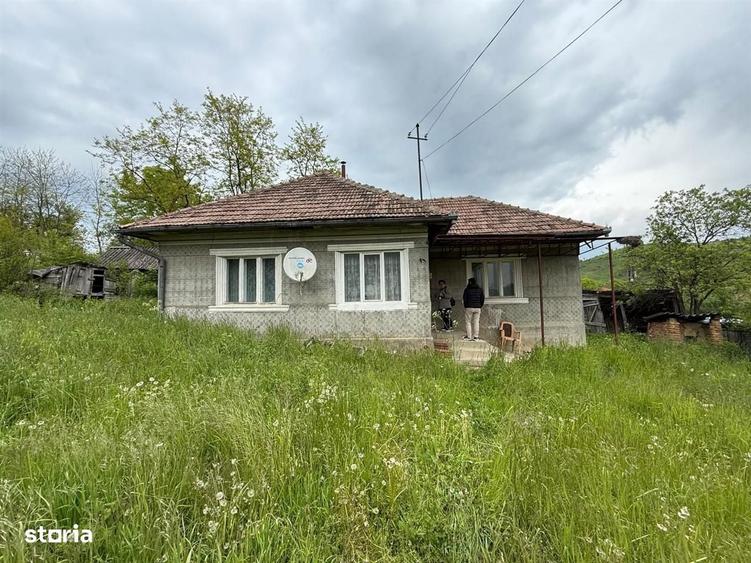 Casa la tara l teren 6600 MP l Aschileu Mare - 7