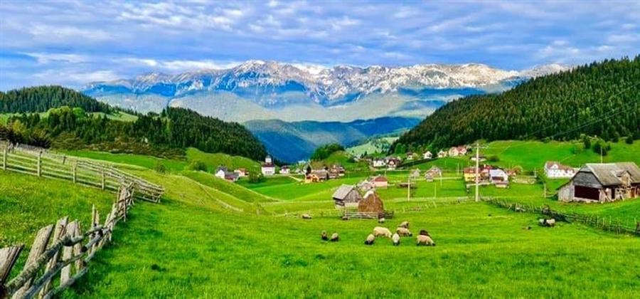 Pensiune incadrata de 2.350 teren, Bran - Fundata, Brasov - 10