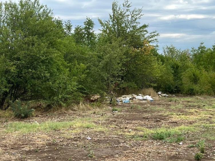 Pantelimon -Lebada- str.Olanesti(spre fabrica de Paine), 5000 mp. - 4