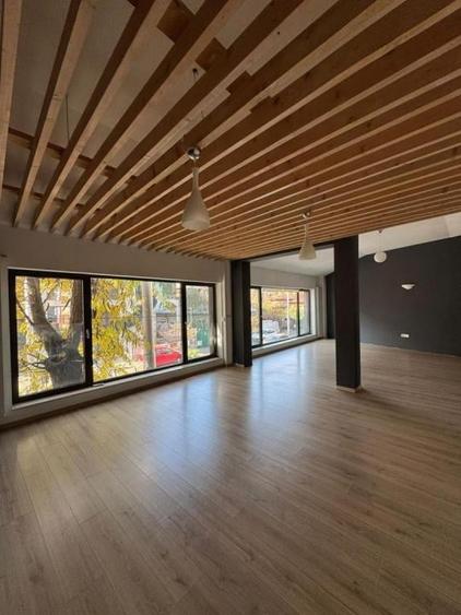 Spatiu  Stefan Cel Mare S P 1 supr 215 mp - 3