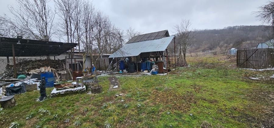 VÂNZARE MOȘIE – Sat Mitrofani, Comuna Mitrofani, jud. Vâlcea - 6