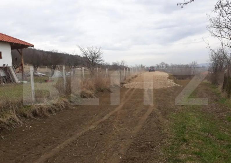 Teren Intravilan cu potential ridicat, 2535mp, Turda, zona c - 4