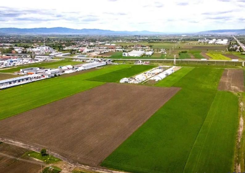 FILM! Teren intravilan, cu PUZ, pe 10.000 mp, Grivitei, Bras - 5