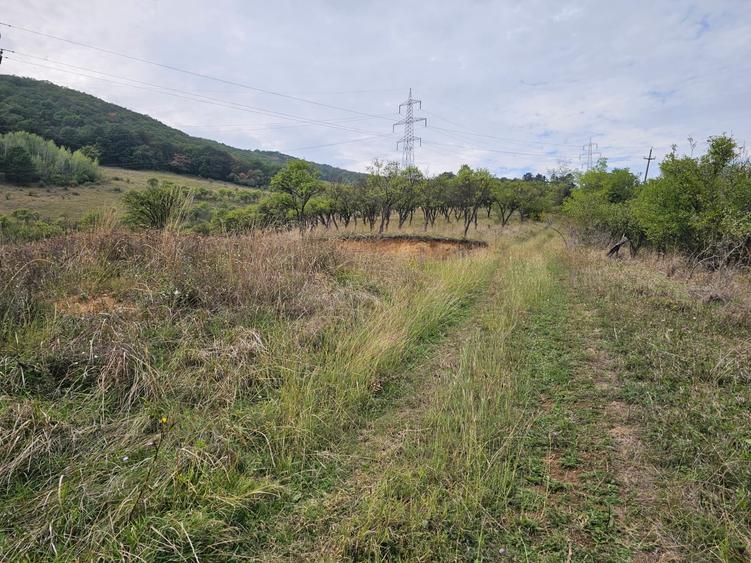 Teren Construcții intravilan de 400 mp, în Călugareni