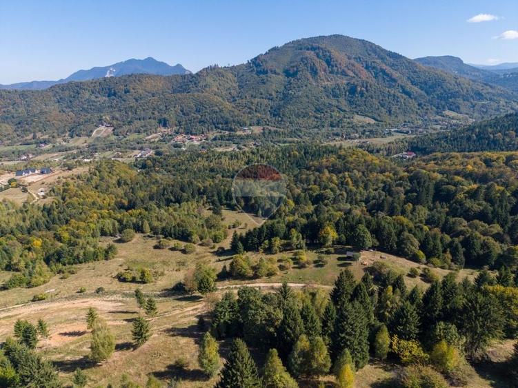 Teren Construcții de 9300 mp, în Glăjărie
