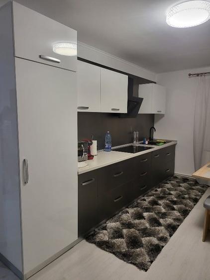 Apartament cu 2 camere decomandat, mobilat în Halânga