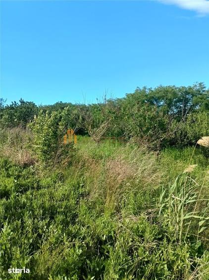 Teren de 3600 mp, în Holboca
