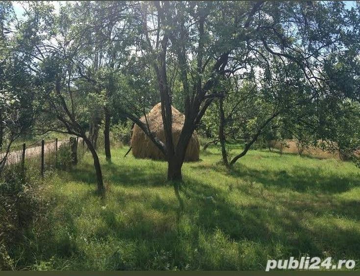 Teren de 5000 mp, în Racâș