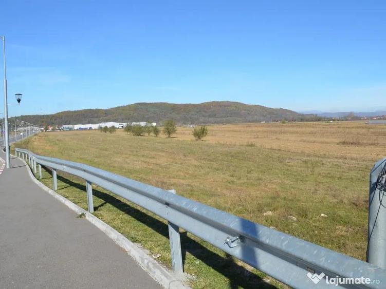 Teren intravilan de vanzare 7.002 mp - Deschidere 70 m la bulevard | Mioveni - 8