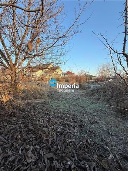 Teren 712/ 1422  mp, plan, Iasi Tudor Neculai,  bransamente - 3