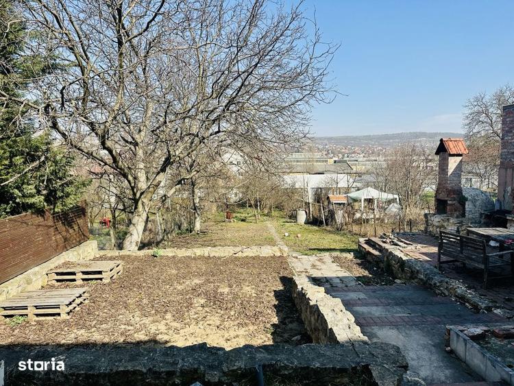 Oaza de liniste in Gruia Casa cu gradina generoasa - 6