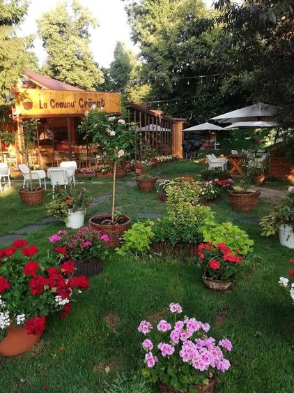 Spatiu comercial de vanzare pentru restaurant | Parcul Herastrau - 6