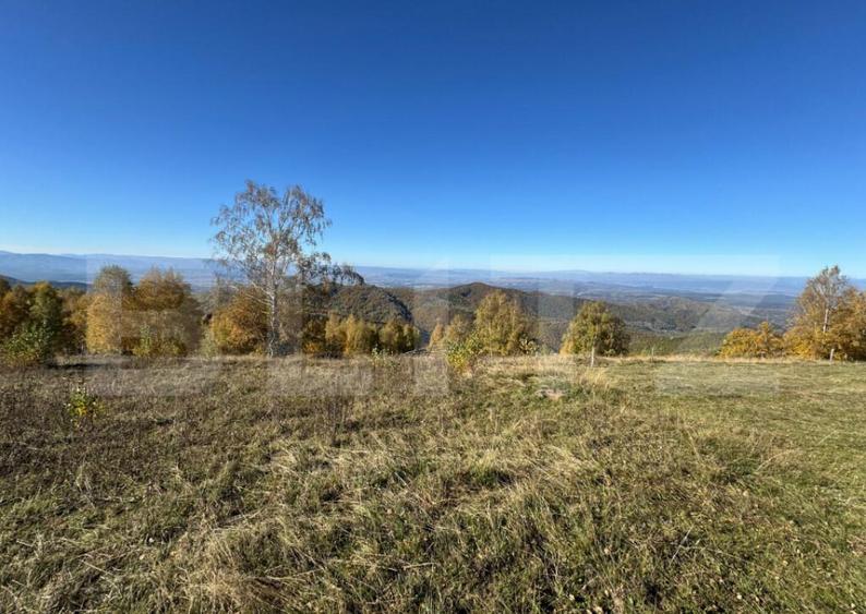 Teren extravilan 6.360 mp in Tarsa - 2