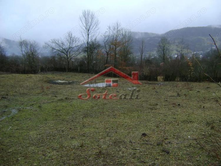 Teren de vanzare in Provita de jos - 10