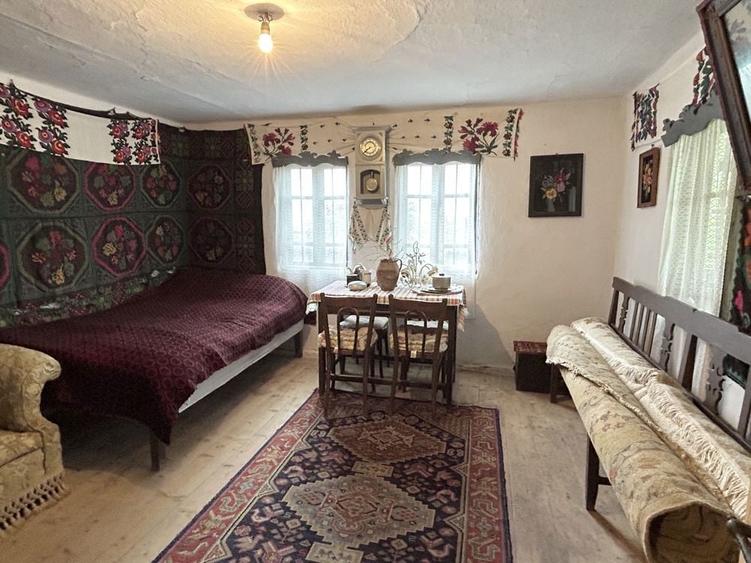 Casa MUSCELEANA , stil Conac , cu livada , teren intravilan- 2 000 mp. - 3