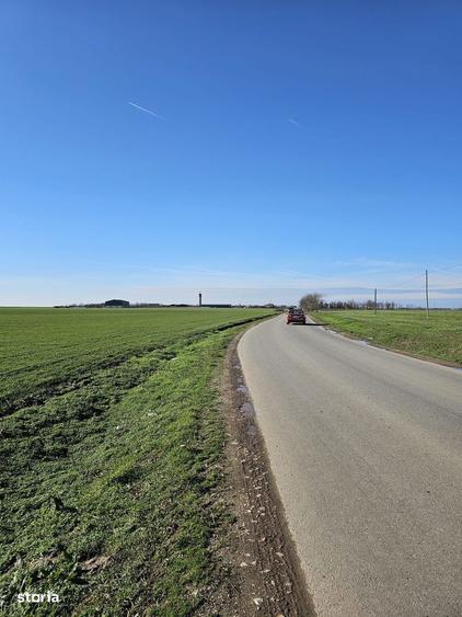 Teren extravilan 8600 mp Livada de Bihor - 3