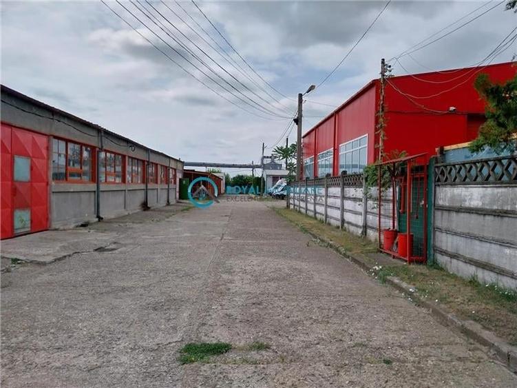 Royal Imobiliare - Vanzare Spatiu Industrial zona Exterior Est - 11