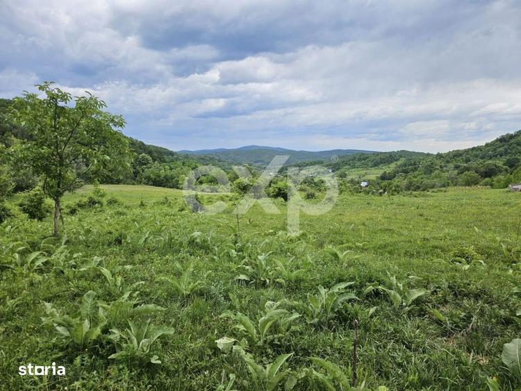 Teren 11,935mp Margineni / Strada Dubas - 4