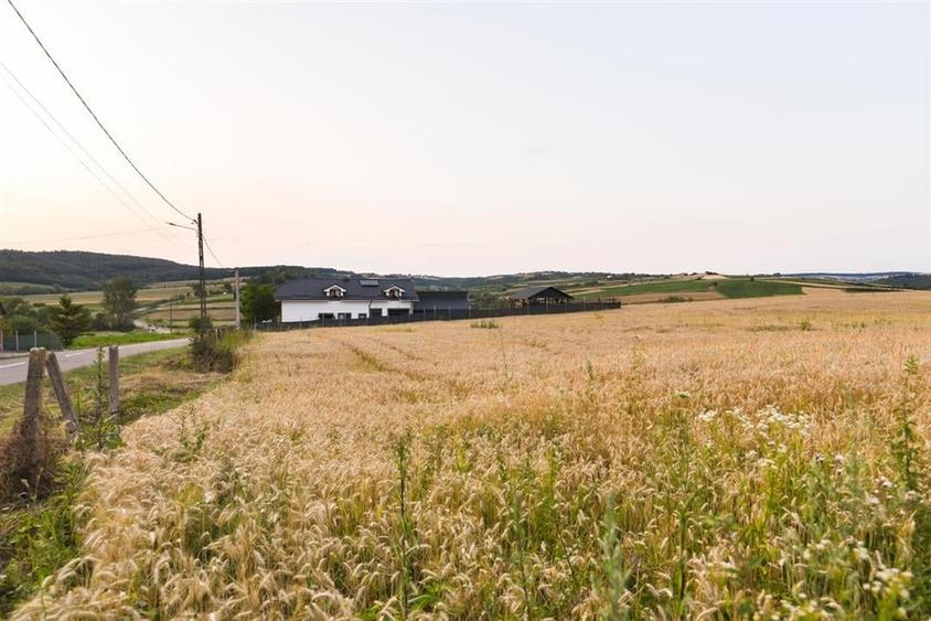 RECO Teren intravilan pentru casa  Lazareni - 11