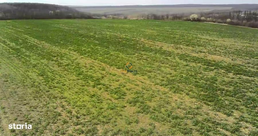 Proprietar Teren langa Domeniile Herneacova - 1