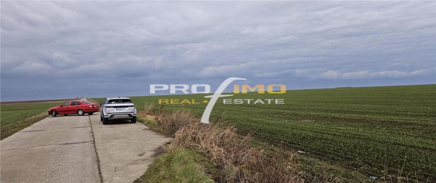 Plaja Corbu-Teren 4200mp. la numai 8 euro /mp. Soseaua asfal - 3