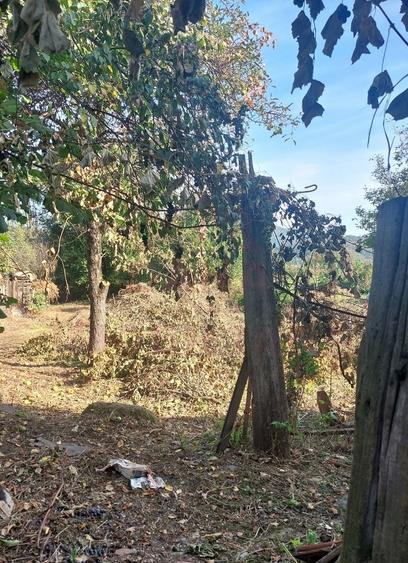 CASĂ DE VÂNZARE 2 CAMERE\ ZĂVOI\ JUD. CARAȘ-SEVERIN - 3