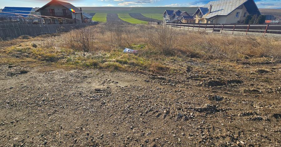 Teren Turturesti la strada principala - 5