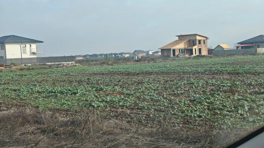 Teren construibil  extravilan , 37000 mp -com Vidra / iesire Berceni, Ilfov - 10