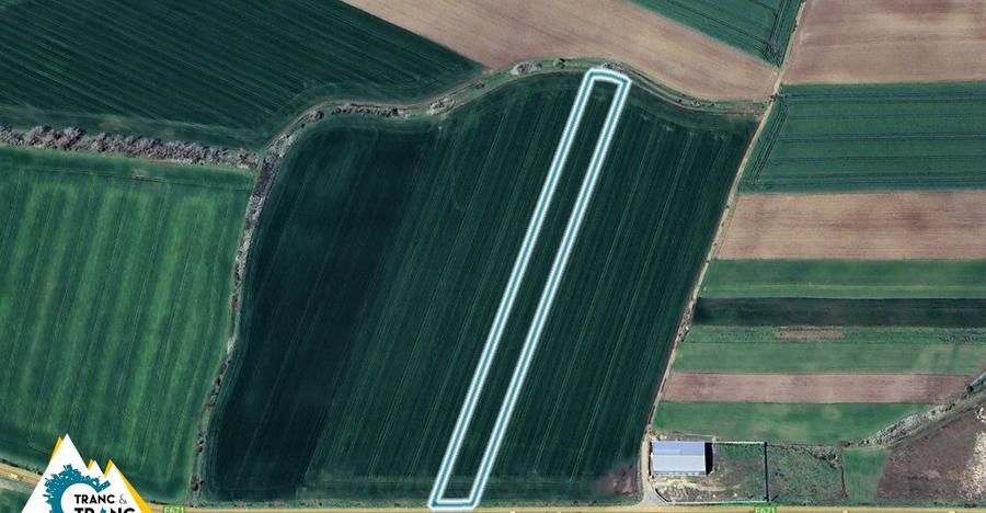 Teren agricol cu front stradal de 25 ml la E671 in Zimandcuz - 1