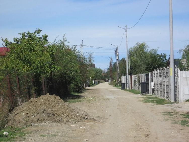 Domnesti Teghes-Padurarului - 10