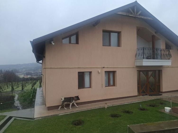 Vand casa in Husi - 2
