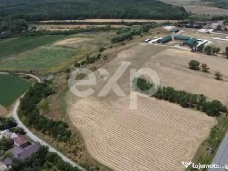 Black Angus Farm with authorized Slaughterhouse - 3