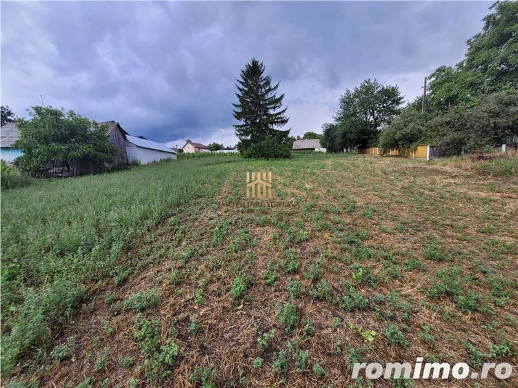 Casa Orheienilor! - 7