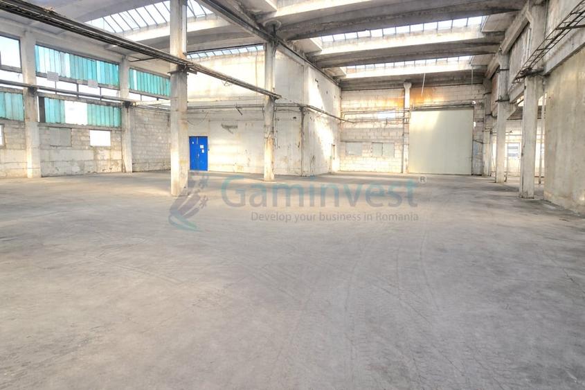 Hala de 3000 mp de productie sau depozitare in Oradea, zona de Centura - 4