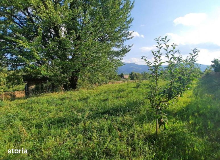 Teren intravilan Viisoara , 1091 metri Cod:148077 - 1