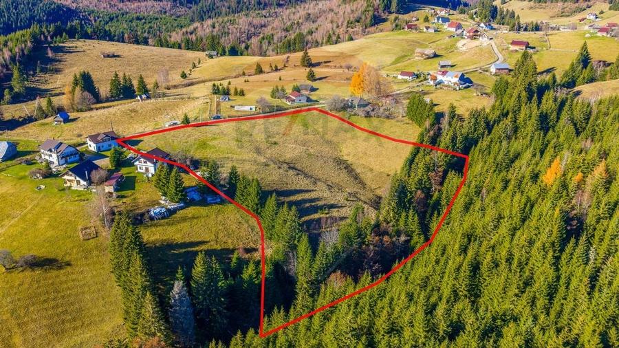 COMISION 0% Teren 13,800mp Fundatica / Intravilan - 6