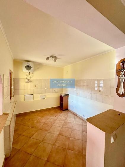 Proprietate de v&acirc;nzare &icirc;n Frătești, zona Biserica - 10