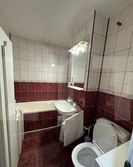 Apartament 2 camere modern, renovat, zona Alfa - 10