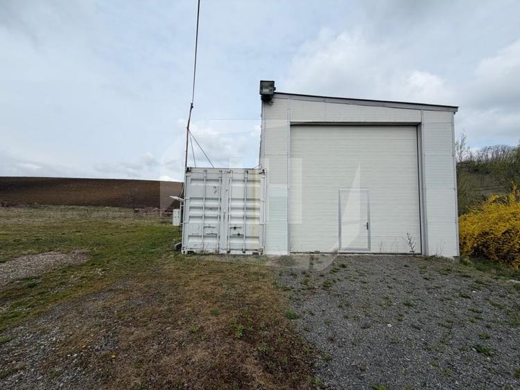 Teren 8000 mp si hala de 100 mp, in Apahida - 2