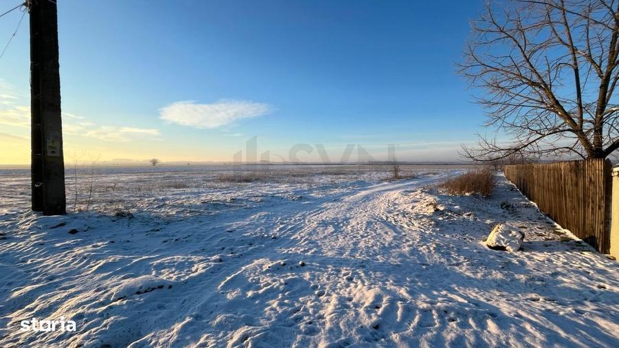 Teren extravilan padure 6000 euro vizavi Insula Crabilor - 4