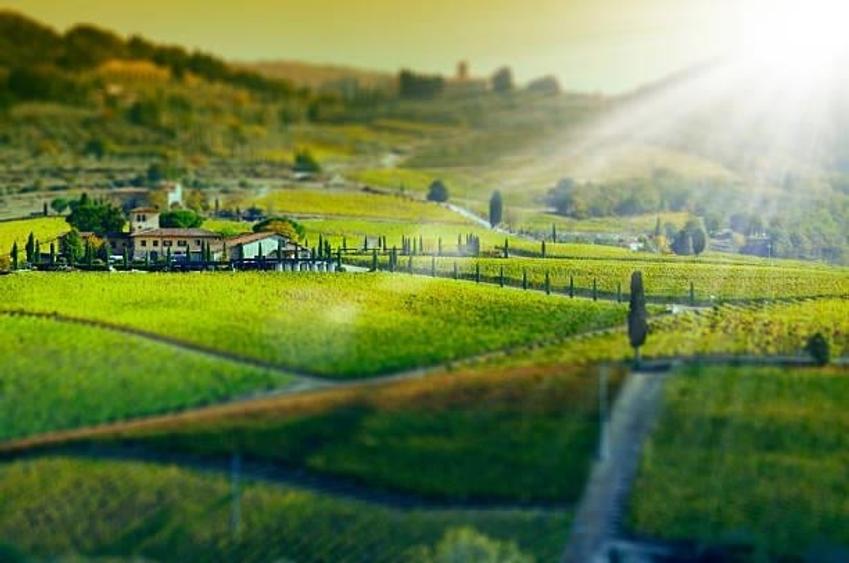 Film&Tur! Domeniu pe 222.000mp+ Ferma +Anexe specifice+Constructie+
rezidential - 5