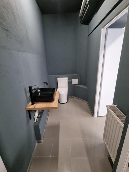 Spatiu comercial Doamna Ghica demisol bulevard propietar - 5