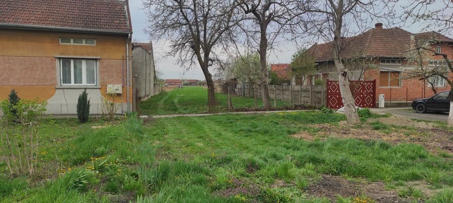 Vand teren 2278mp in comuna Belint - 5