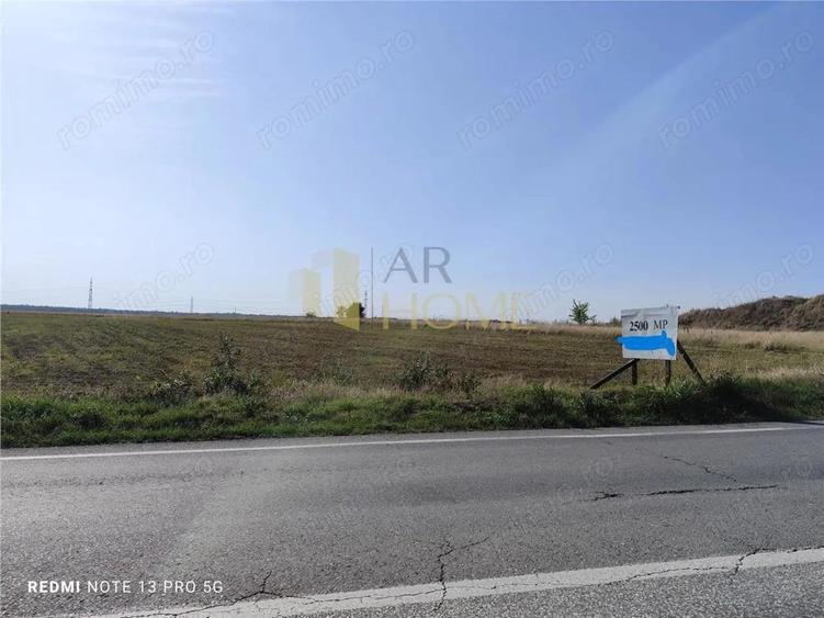 2500 mp Dn1 A Cocorastii Colt - 2